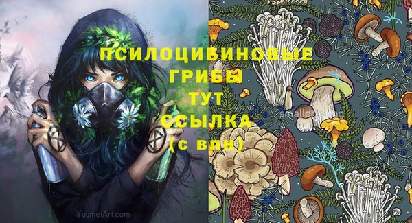 прущая мука Лабытнанги