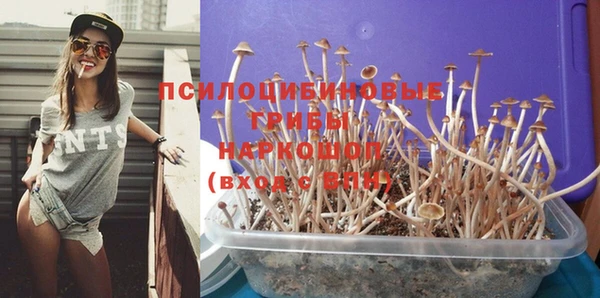 хмурый Липки