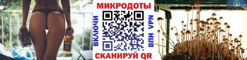 Галлюциногенные грибы Magic Shrooms сколько стоит Ессентукская